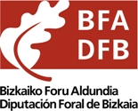 Logo - Diputacin Foral de Bizkaia